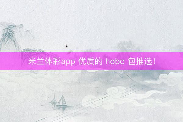 米兰体彩app 优质的 hobo 包推选！