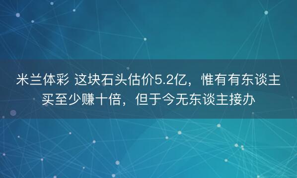 米兰体彩 这块石头估价5.2亿，惟有有东谈主买至少赚十倍，但于今无东谈主接办