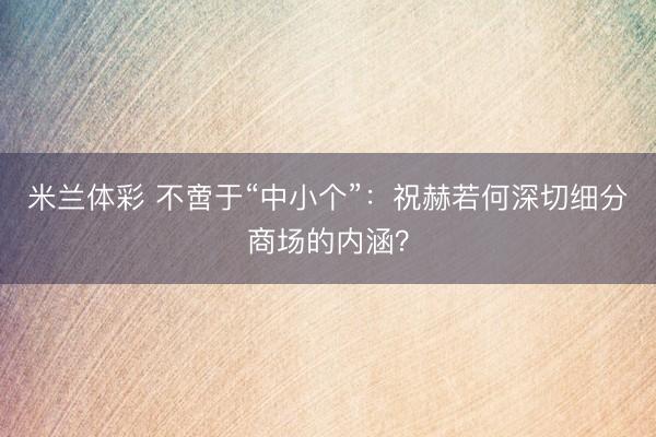 米兰体彩 不啻于“中小个”：祝赫若何深切细分商场的内涵？