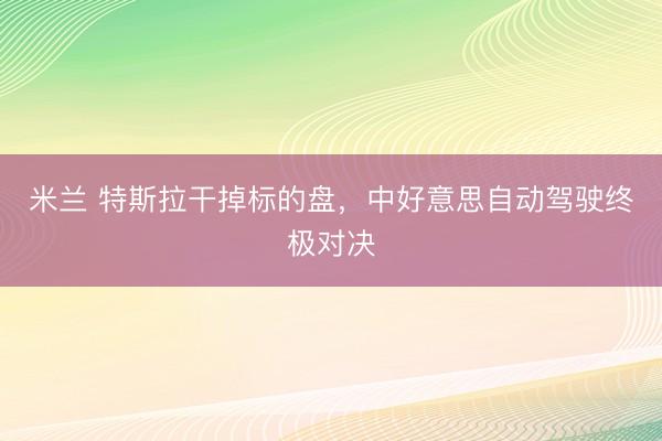 米兰 特斯拉干掉标的盘,中好意思自动驾驶终极对决