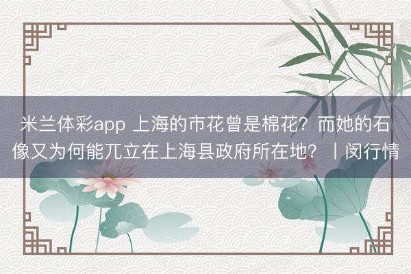 米兰体彩app 上海的市花曾是棉花？而她的石像又为何能兀立在上海县政府所在地？丨闵行情