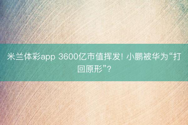 米兰体彩app 3600亿市值挥发! 小鹏被华为“打回原形”?