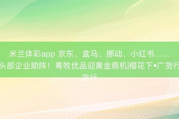 米兰体彩app 京东、盒马、挪动、小红书……头部企业助阵!粵牧优品迎黄金商机|樱花下•广货行