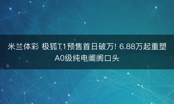 米兰体彩 极狐T1预售首日破万! 6.88万起重塑A0级纯电阛阓口头