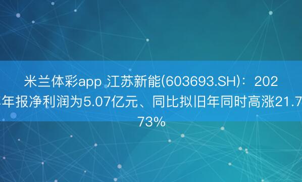 米兰体彩app 江苏新能(603693.SH)：2025年年报净利润为5.07亿元、同比拟旧年同时高涨21.73%