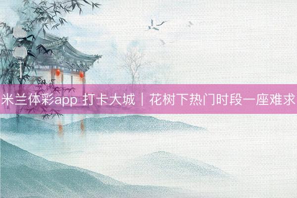 米兰体彩app 打卡大城｜花树下热门时段一座难求