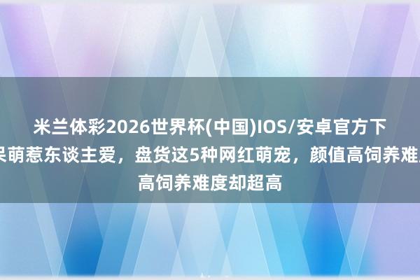 米兰体彩2026世界杯(中国)IOS/安卓官方下载 外在呆萌惹东谈主爱,盘货这5种网红萌宠,颜值高饲养难度却超高