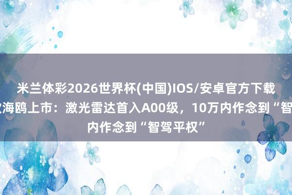 米兰体彩2026世界杯(中国)IOS/安卓官方下载 2026款海鸥上市:激光雷达首入A00级,10万内作念到“智驾平权”