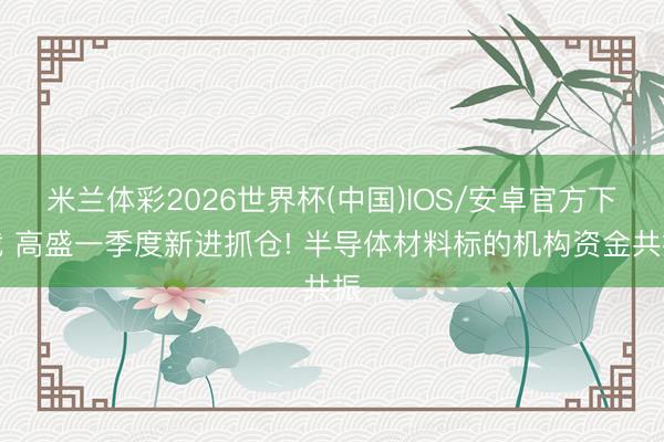 米兰体彩2026世界杯(中国)IOS/安卓官方下载 高盛一季度新进抓仓! 半导体材料标的机构资金共振
