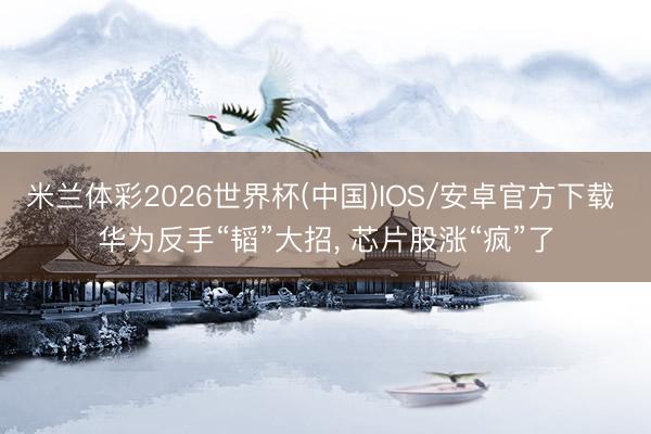 米兰体彩2026世界杯(中国)IOS/安卓官方下载 华为反手“韬”大招, 芯片股涨“疯”了