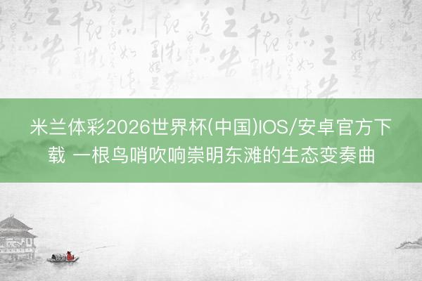 米兰体彩2026世界杯(中国)IOS/安卓官方下载 一根鸟哨吹响崇明东滩的生态变奏曲