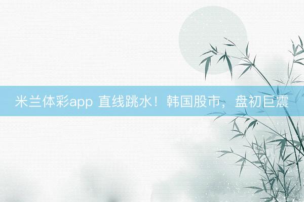 米兰体彩app 直线跳水!韩国股市,盘初巨震