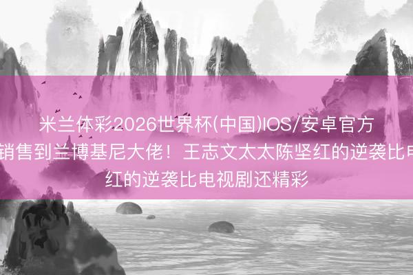 米兰体彩2026世界杯(中国)IOS/安卓官方下载 从别克销售到兰博基尼大佬！王志文太太陈坚红的逆袭比电视剧还精彩