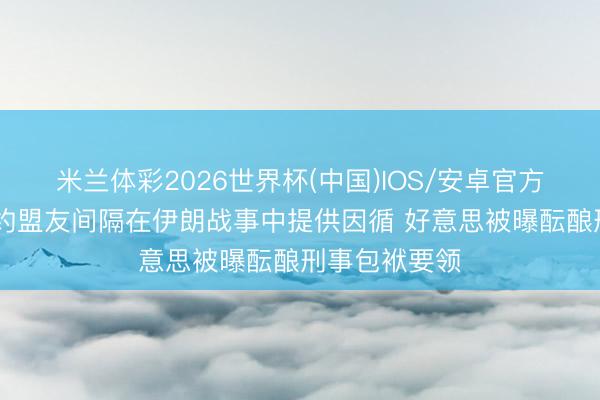 米兰体彩2026世界杯(中国)IOS/安卓官方下载 起火北约盟友间隔在伊朗战事中提供因循 好意思被曝酝酿刑事包袱要领