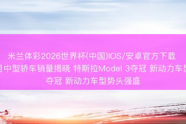 米兰体彩2026世界杯(中国)IOS/安卓官方下载 2026